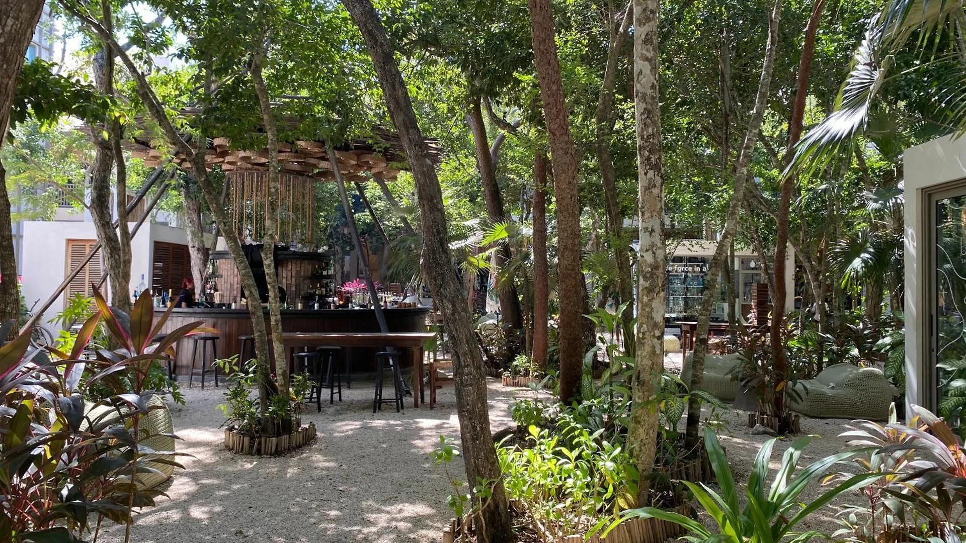 Hotel Motto By Hilton Tulum