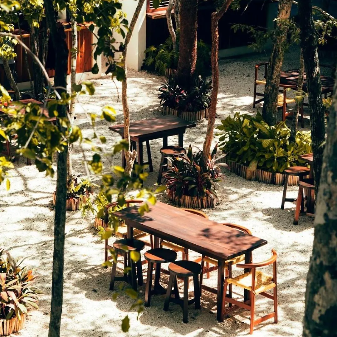 Hotel Motto By Hilton Tulum Messico
